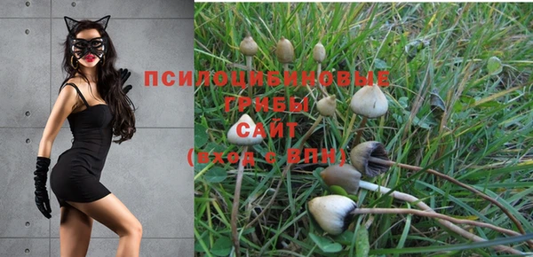 jwh Покров