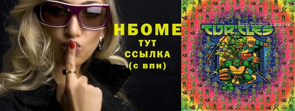 мдпв Абаза