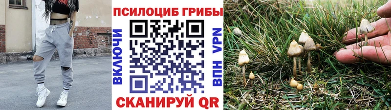 Псилоцибиновые грибы мицелий Усть-Кут