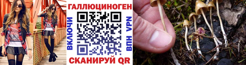 Псилоцибиновые грибы Psilocybine cubensis  купить закладку  Усть-Кут 